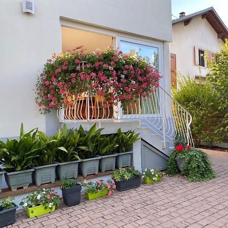 Appartement Le Jardin Lingolsheim Ngoại thất bức ảnh
