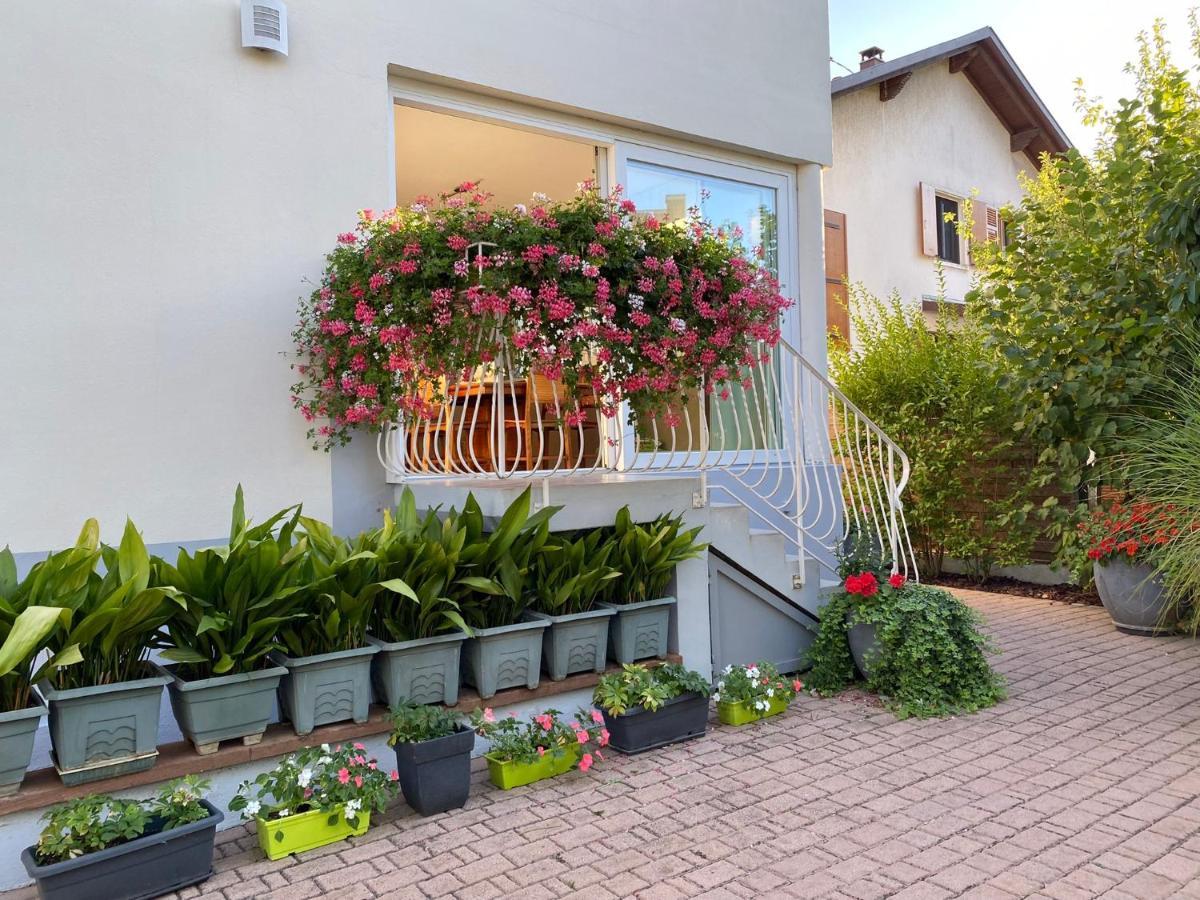 Appartement Le Jardin Lingolsheim Ngoại thất bức ảnh