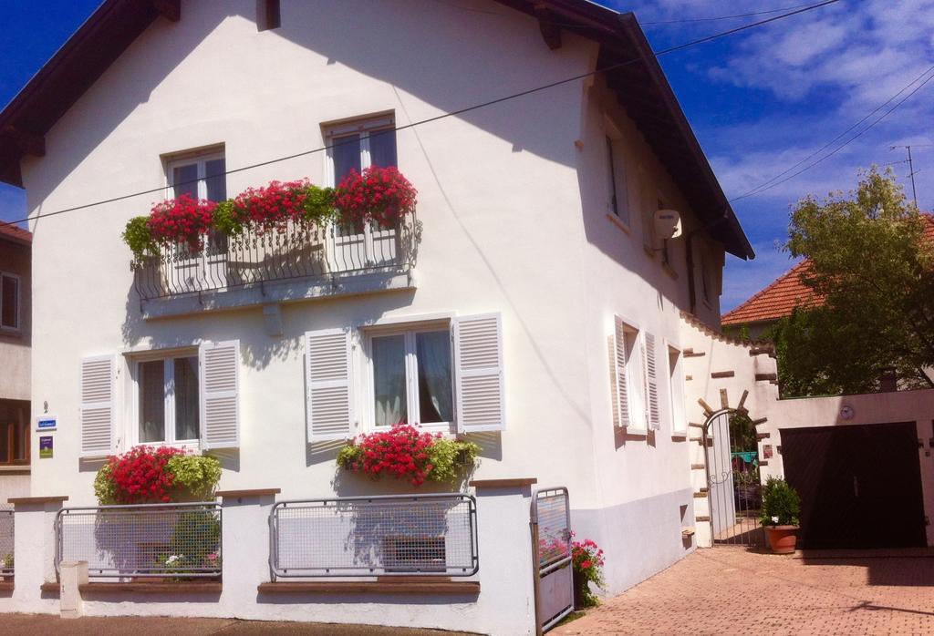 Appartement Le Jardin Lingolsheim Phòng bức ảnh